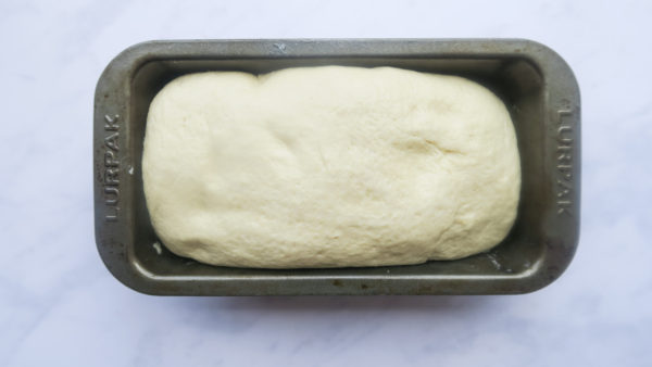 Knock back and shape dough and place in loaf. 