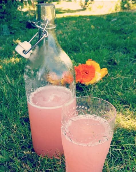 Rhubarb lemonade 