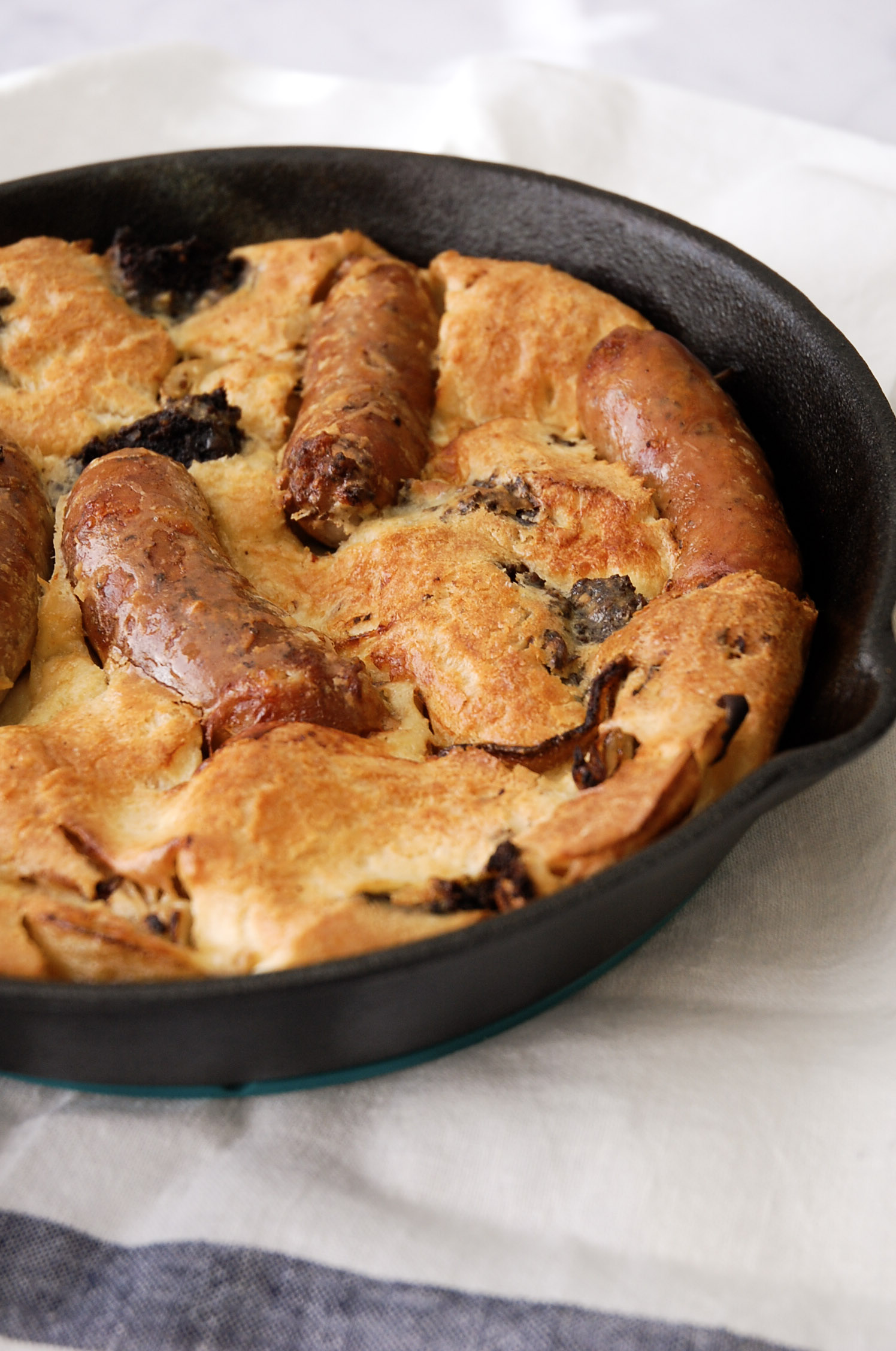 close up on toad in the hole