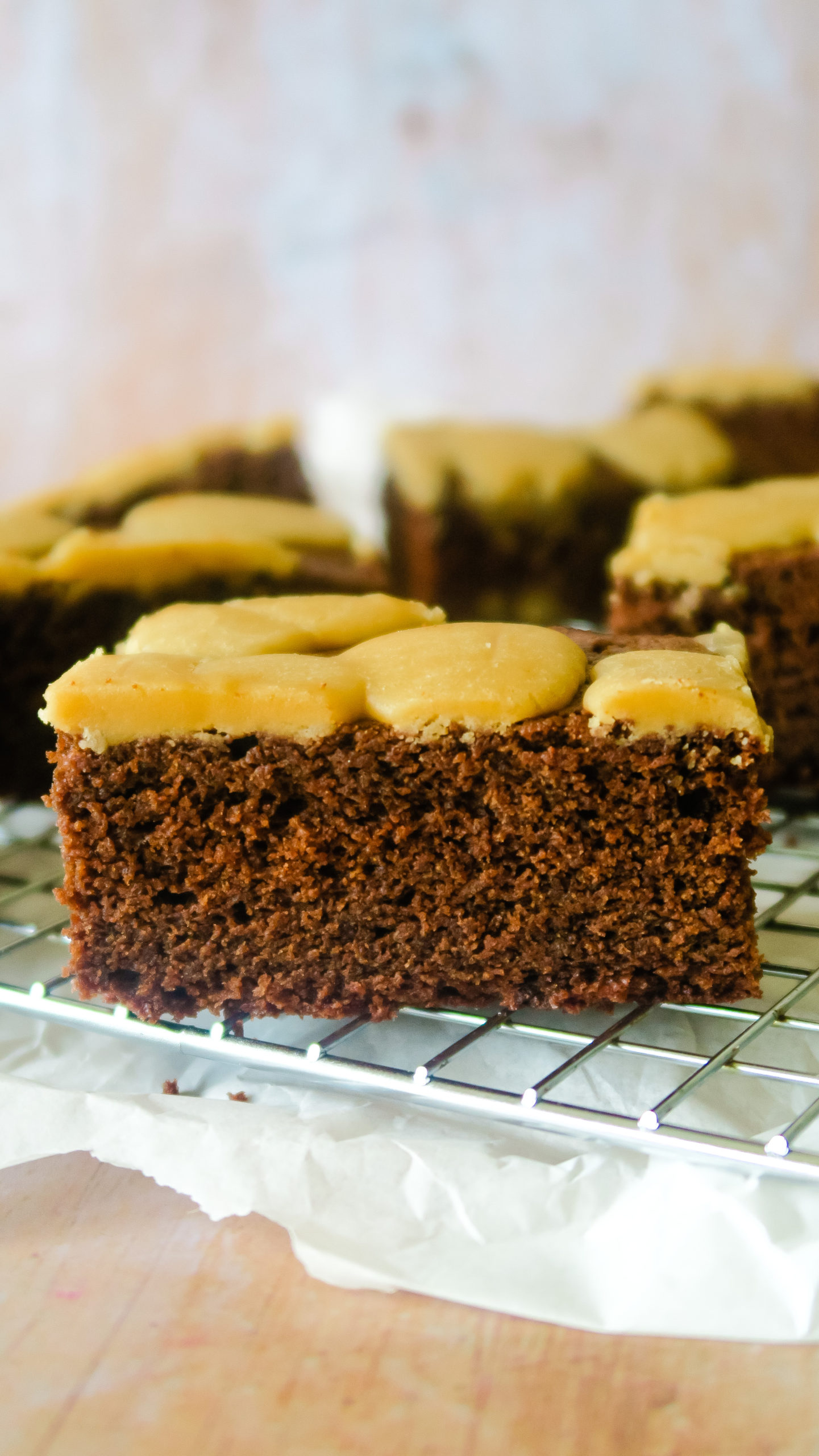 side view of a slice of chocolate cake with a fudge topping