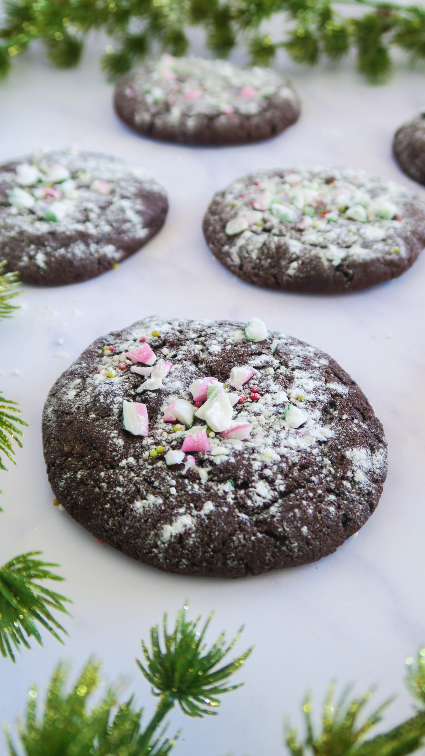 chocolate peppermint cookies close up