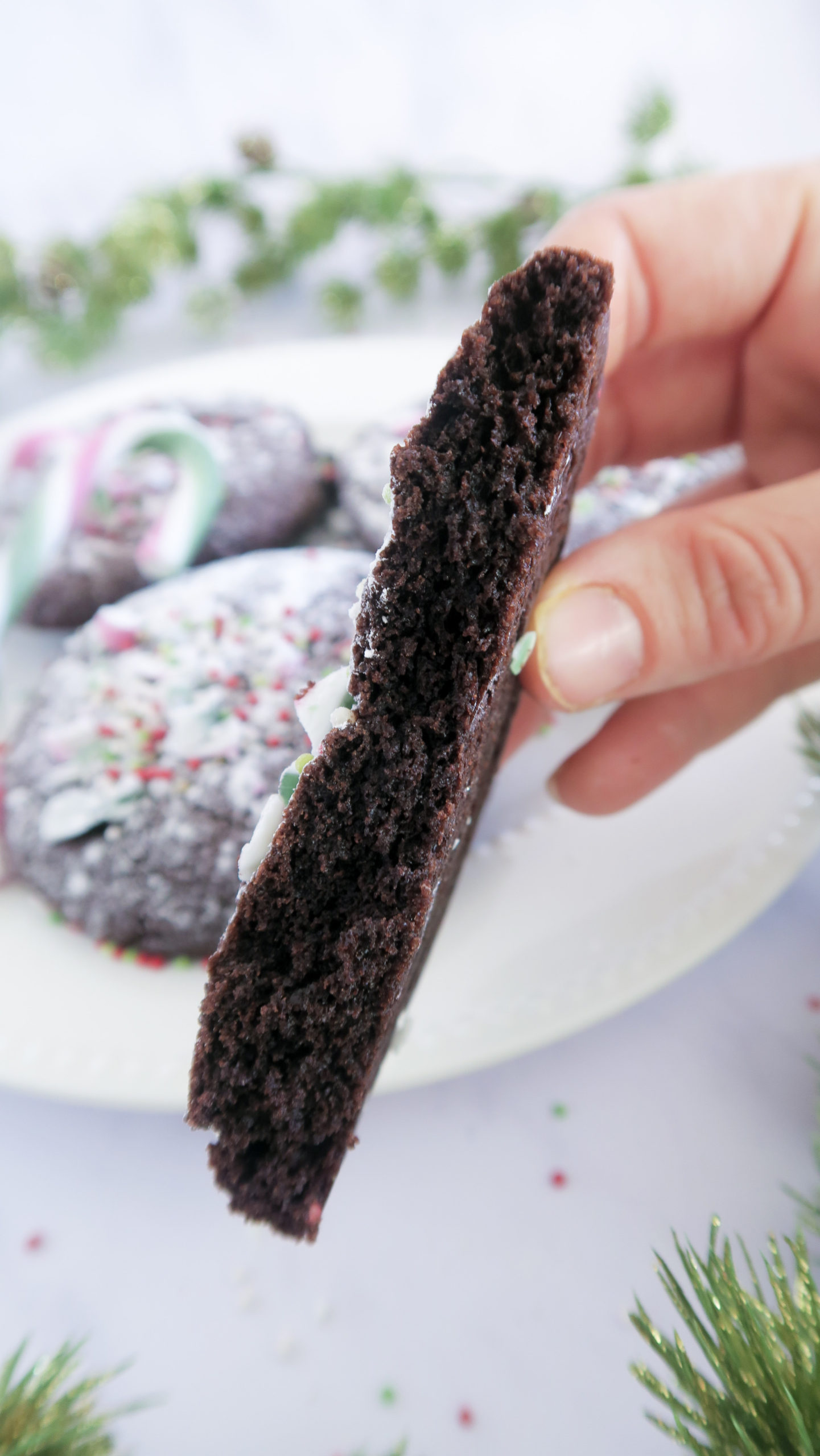 Inside the chocolate peppermint cookie