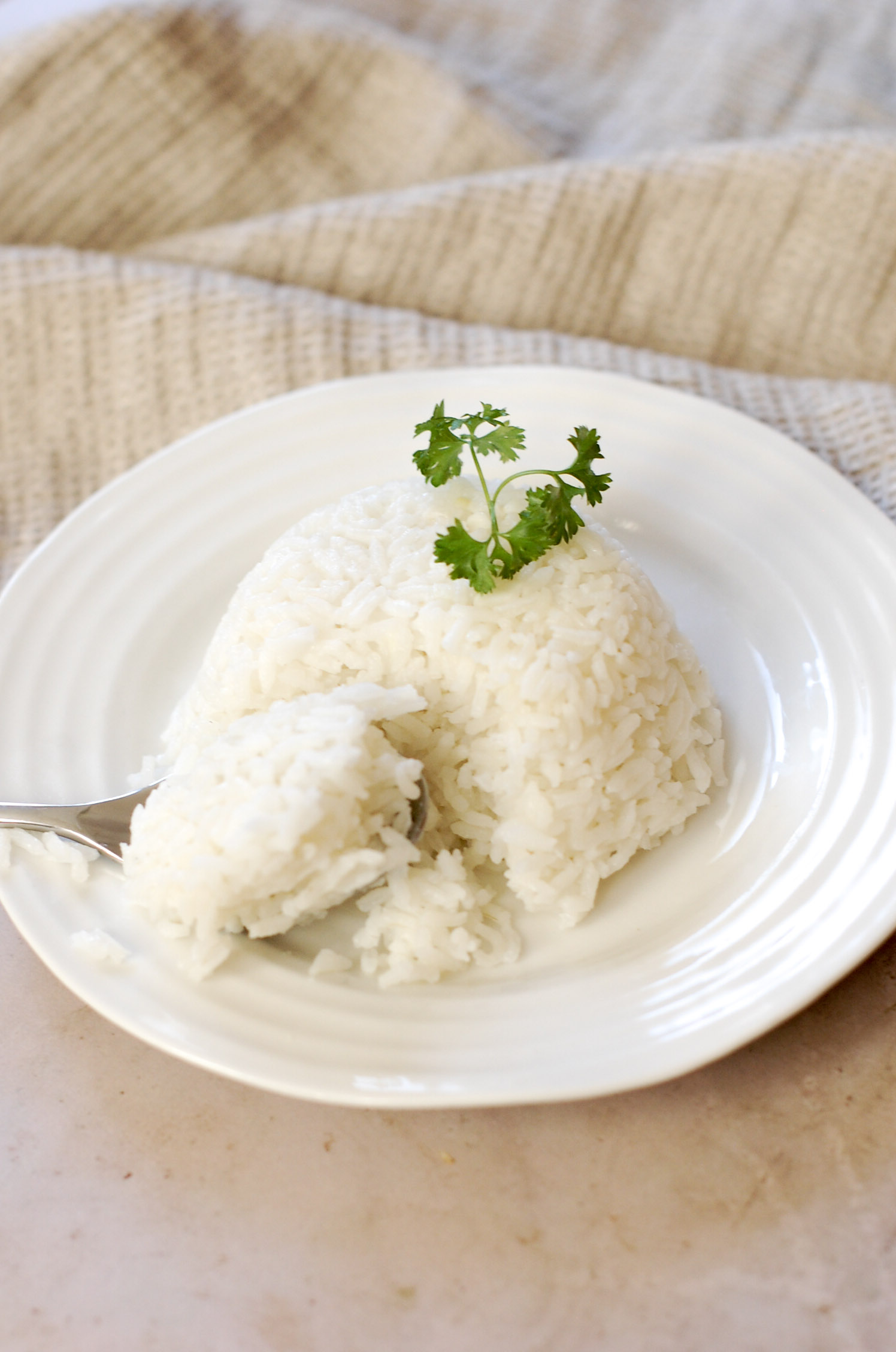 a white plate with a mound of Brazilian white rice on top