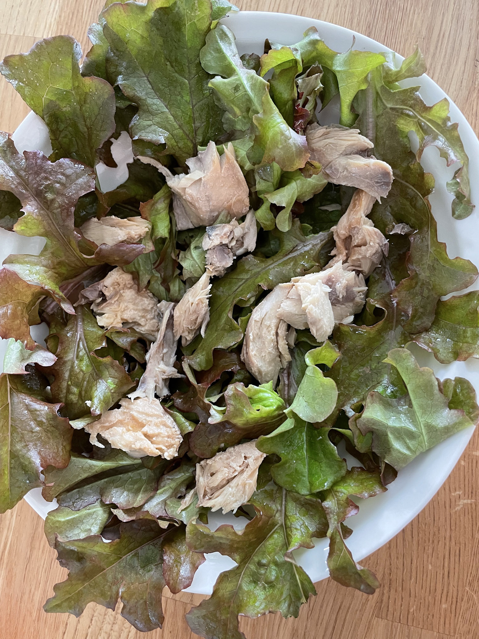 Canned Mackerel Salad Recipe Jess Eats and Travels