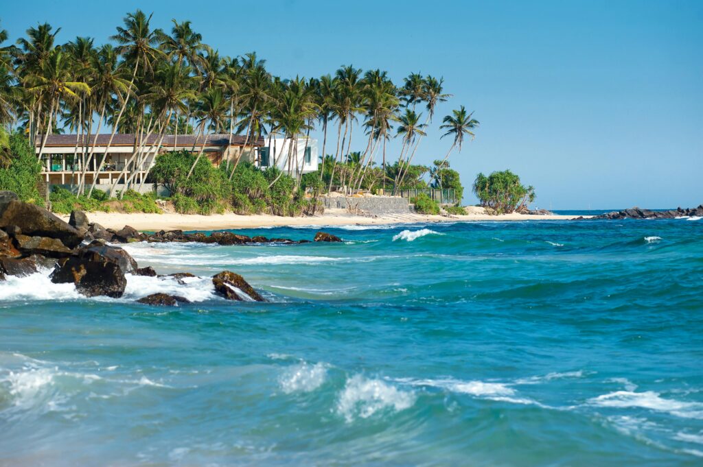 Palm trees near a blue sea Photo by Oleksandr P